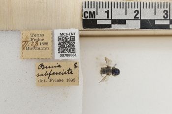 Media type: image;   Entomology 788861 Aspect: Labels
